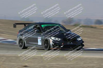 media/Nov-12-2023-GTA Finals Buttonwillow (Sun) [[806b9a7a9a]]/Group 2/Session 1 (Phil Hill)/